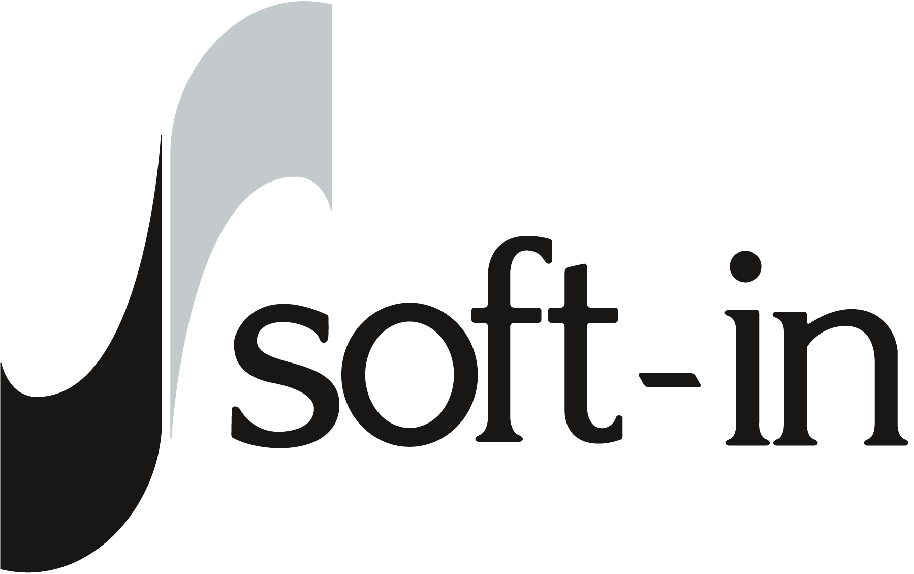 Logo Soft-in Embedded